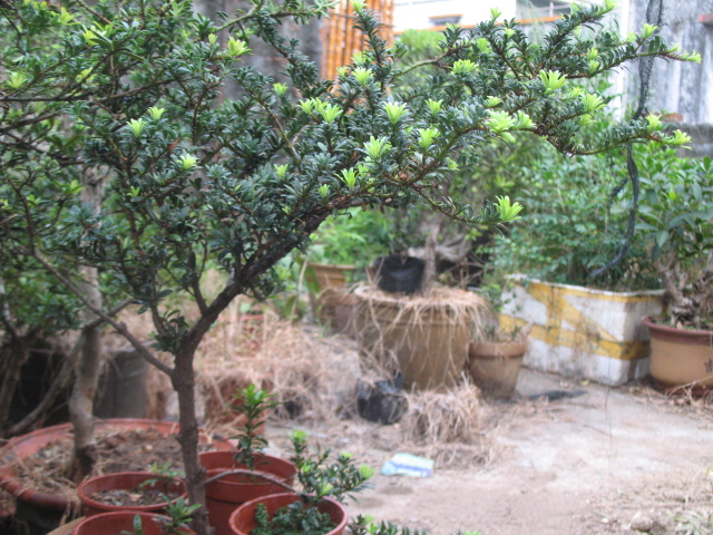 IMG_6690.JPG