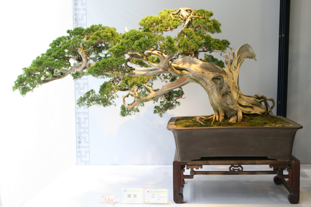 SBQ_20130929_1020.JPG