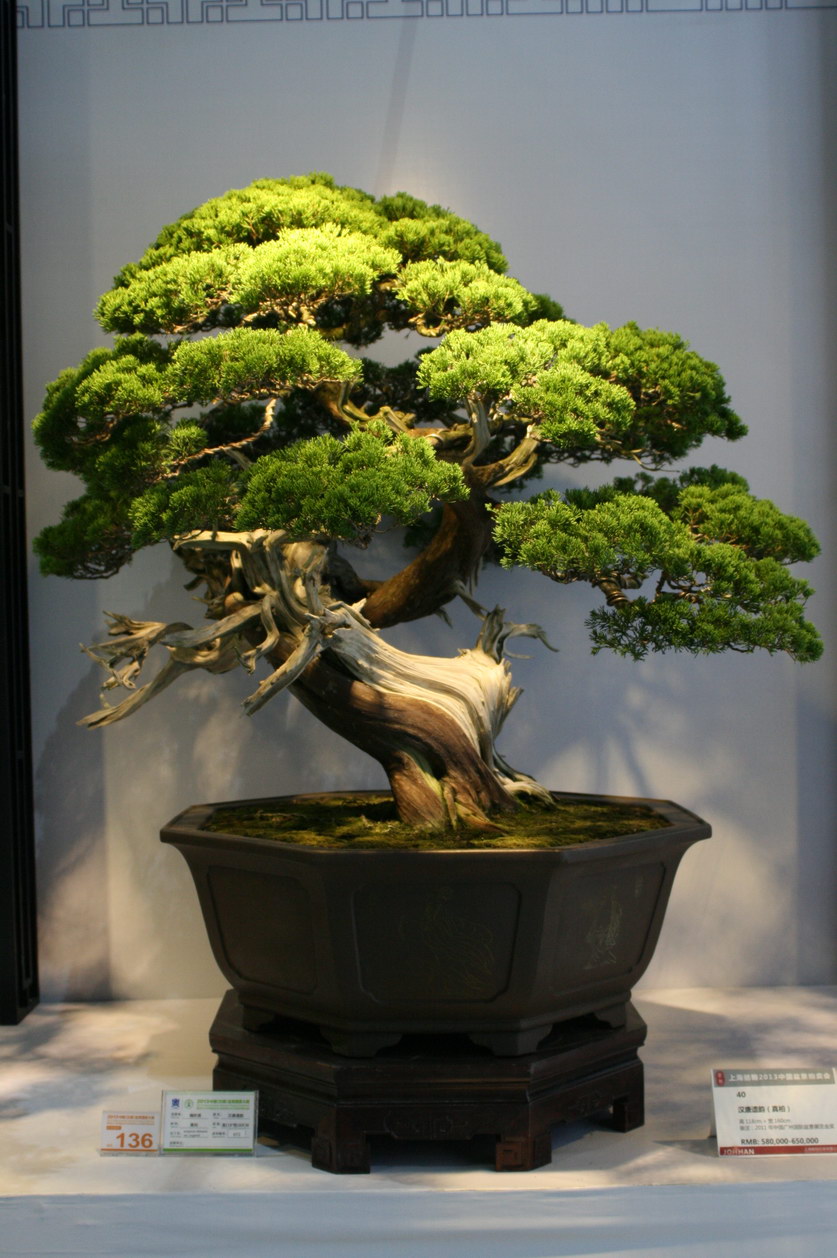 SBQ_20130929_1022.JPG