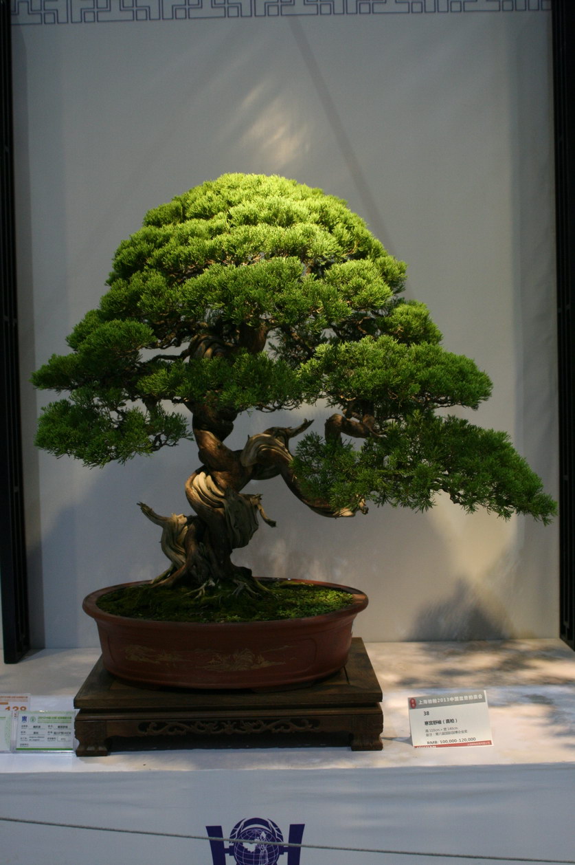 SBQ_20130929_1024.JPG