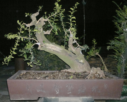 201310201602.jpg
