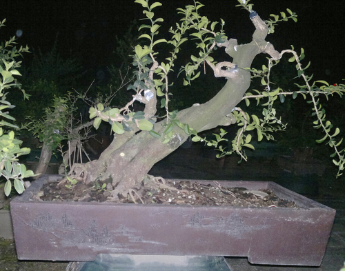 201310201603.jpg
