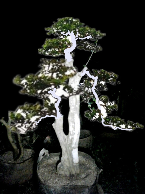 20131018_211050__.jpg
