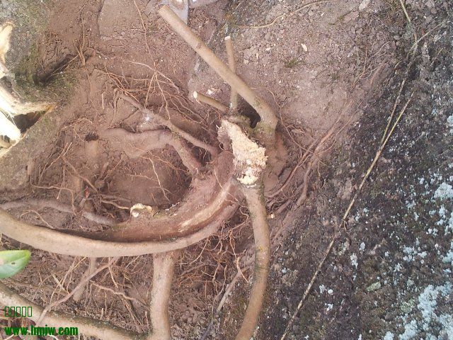 20131023_155747.jpg