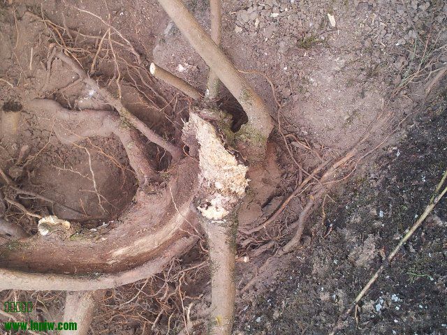 20131023_155755.jpg