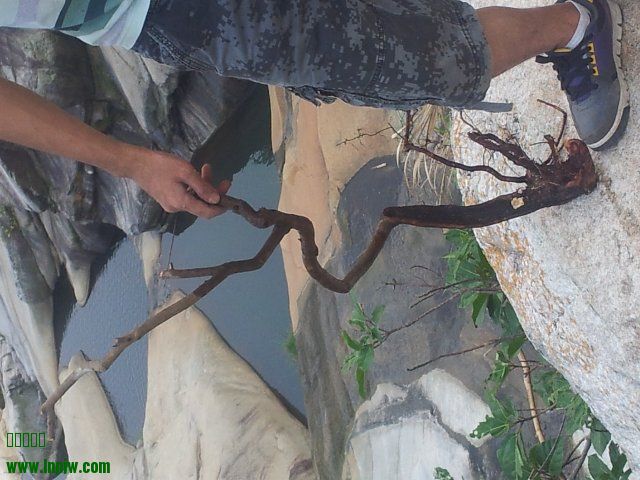 20131023_165016.jpg