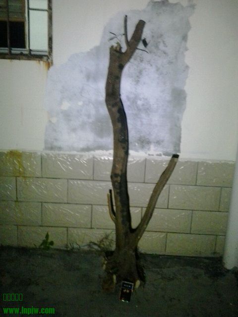 20131023_191818.jpg