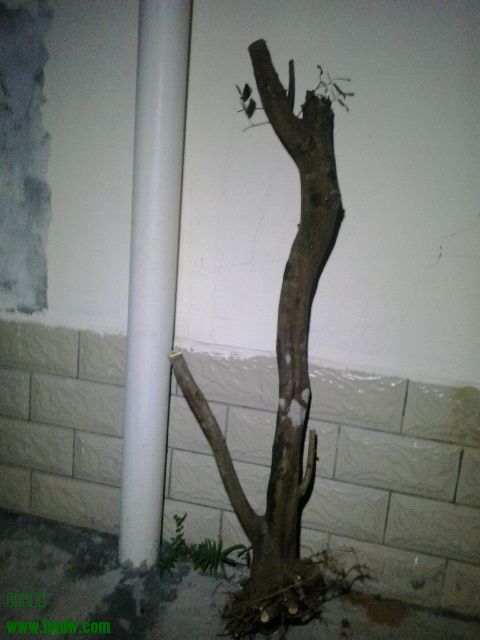 20131023_185100.jpg