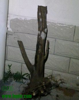 20131023_185100_.jpg