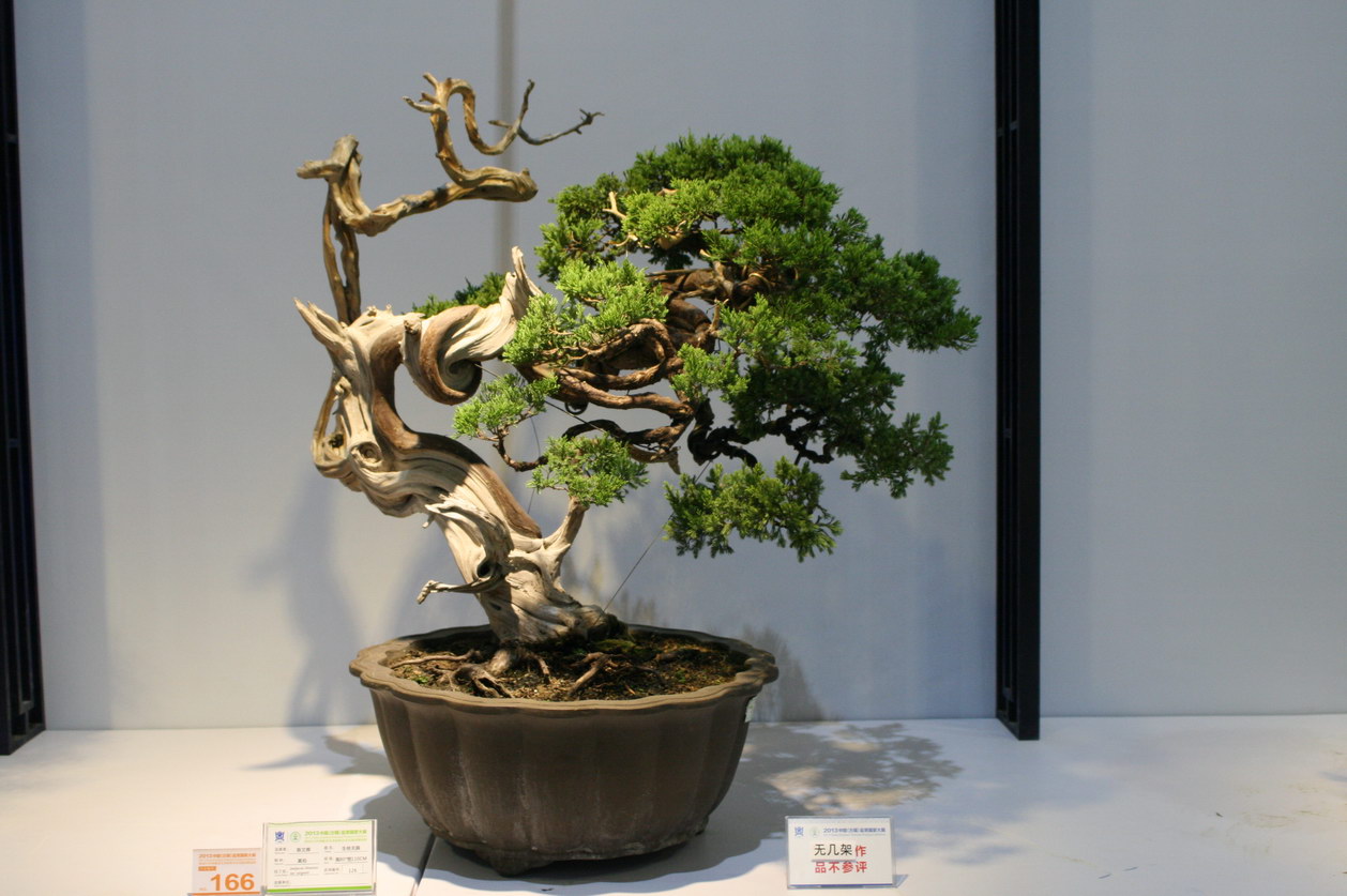 SBQ_20130929_1052.JPG