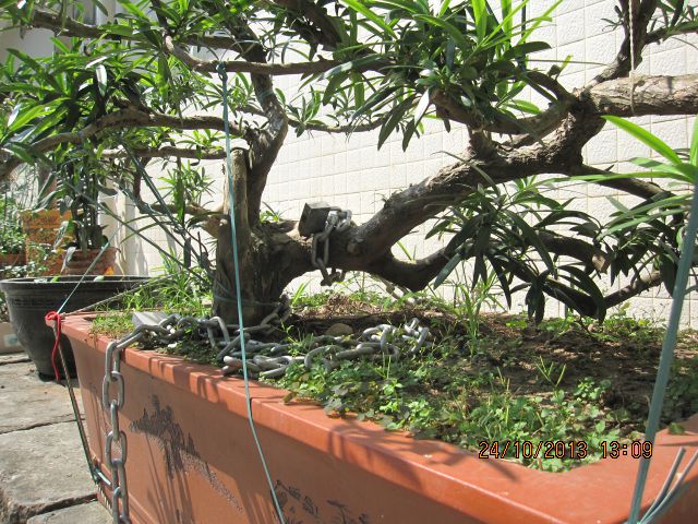 Ƭ 044.jpg