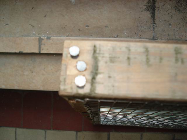 DSC01459.JPG
