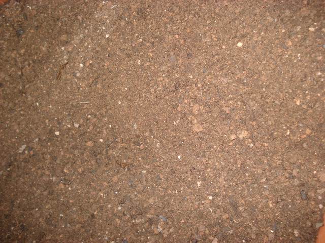 DSC01486.JPG