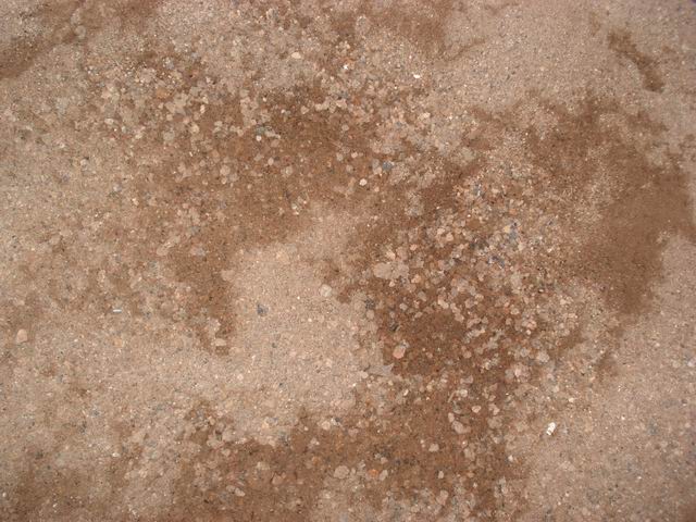 DSC01487.JPG