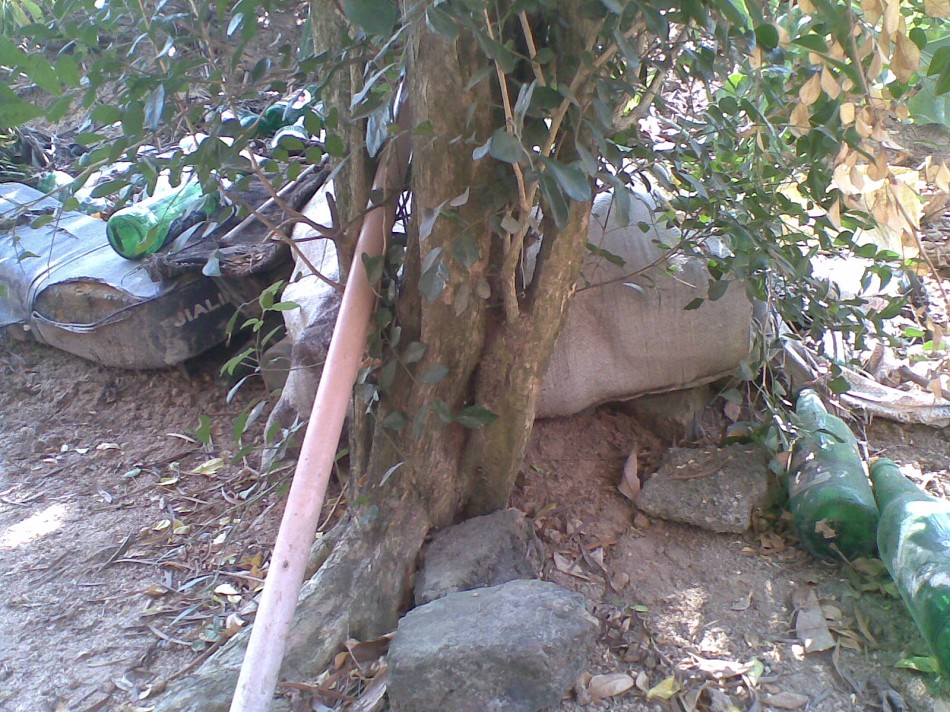 20131026(005)ͼ.jpg