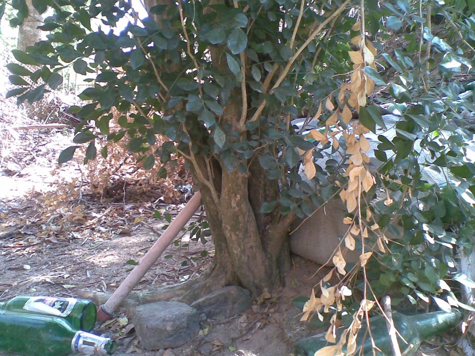 20131026(006)ͼ.jpg