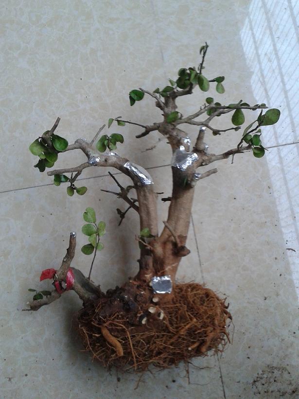 20131025_173952.jpg