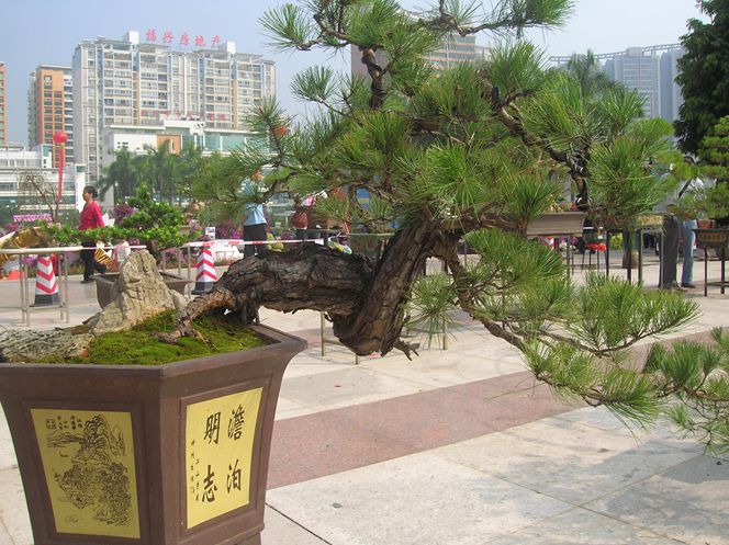 DSCN4382.JPG