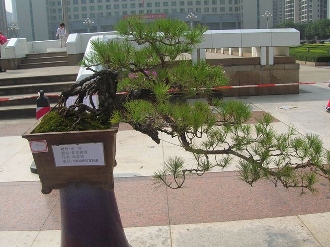 DSCN4385.JPG