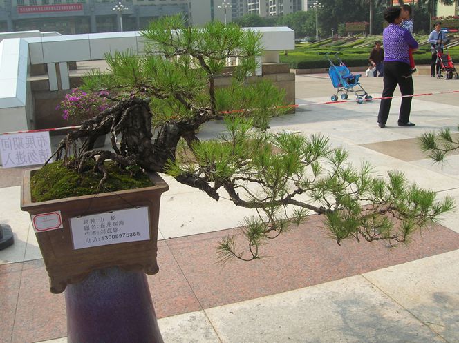 DSCN4386.JPG