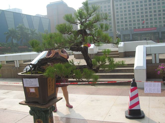 DSCN4387.JPG
