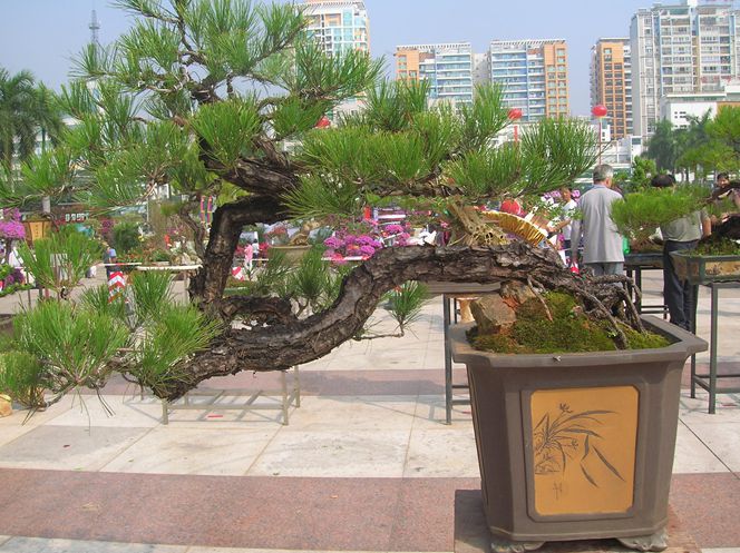 DSCN4392.JPG