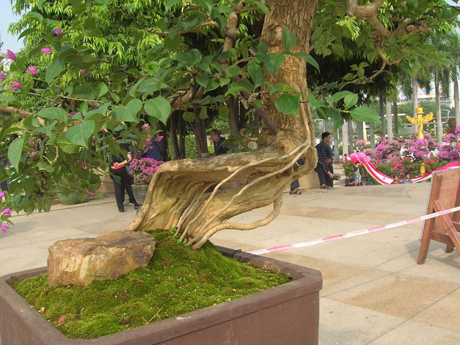 DSCN4371.JPG