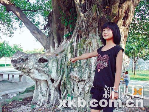 78db20e793bf58fbe7e8902a144b2dda.jpg