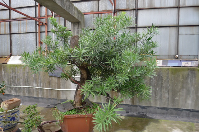 P1020451.JPG