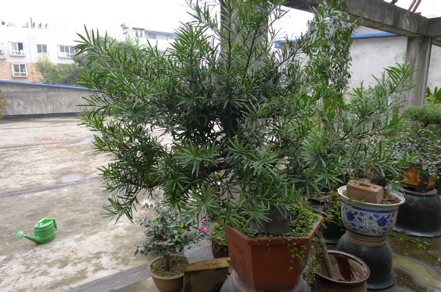 P1020452.JPG