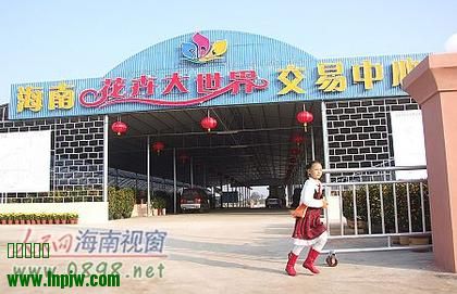 U57P16T1D5580F8DT20090116155918.jpg