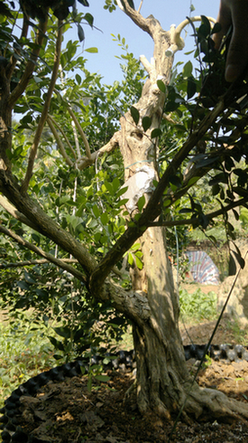 201310261613.jpg