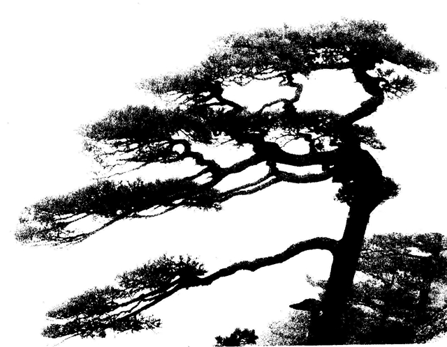 Image-34.jpg