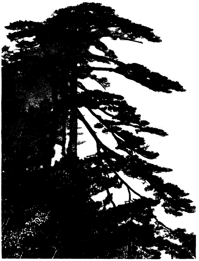 Image-42.jpg