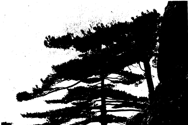 Image-43.jpg