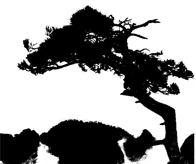 Image-44.jpg