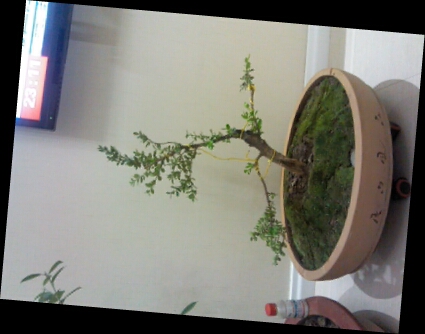 IMG_20130927_231259.jpg