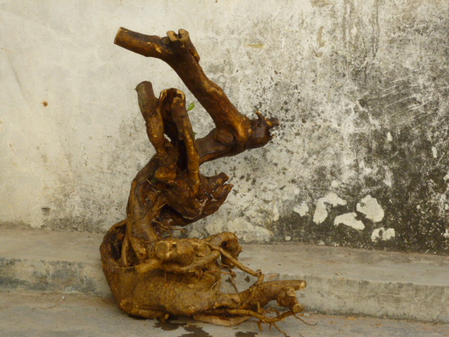 P1010765.JPG