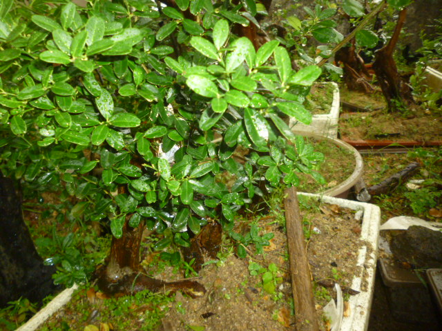 P1080554.JPG