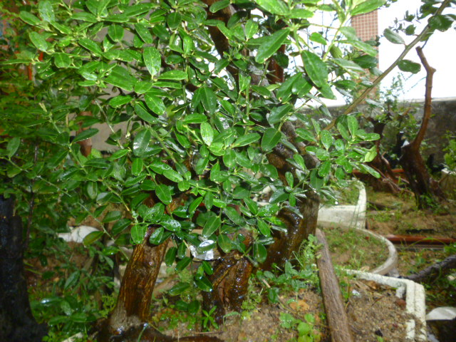 P1080555.JPG