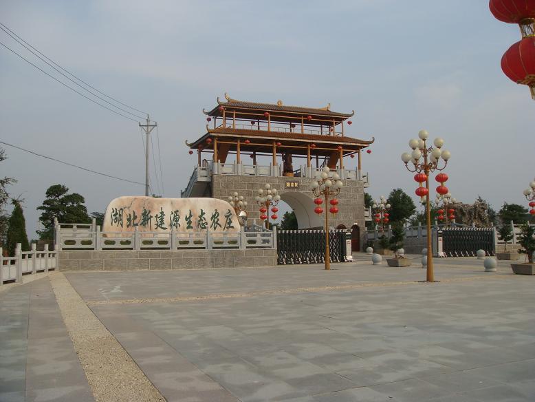 DSC05679.JPG