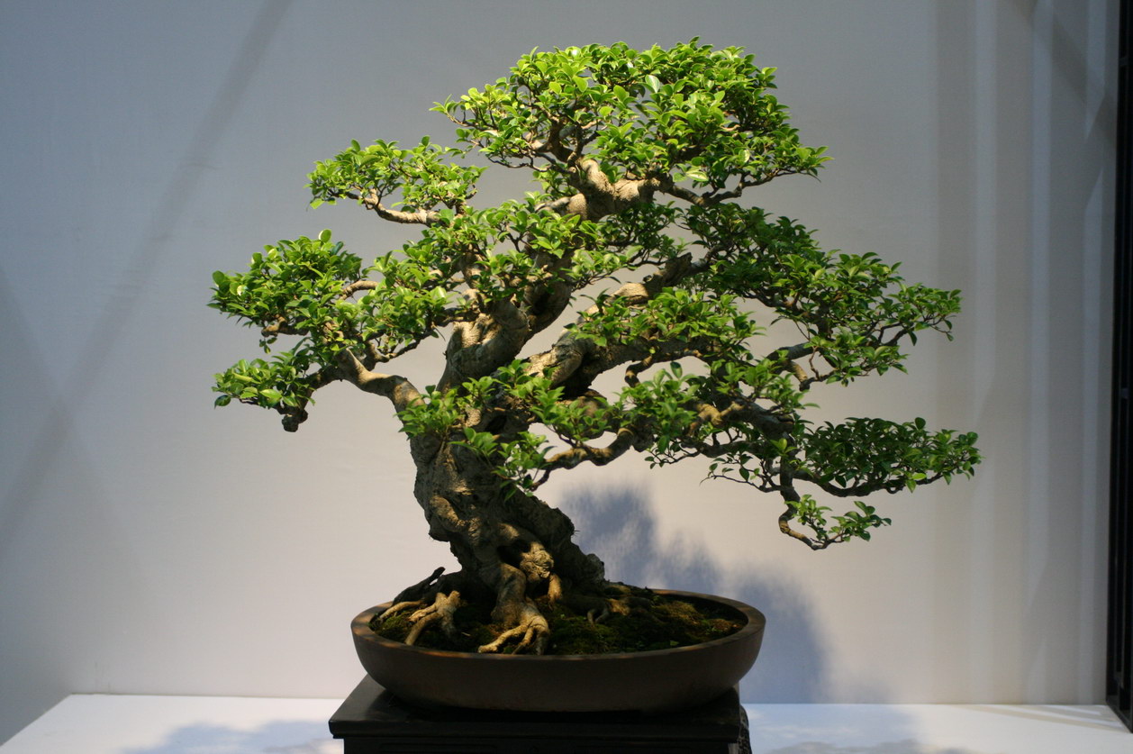 SBQ_20130929_1077.JPG