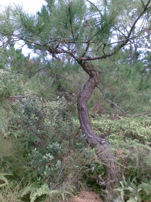 20131030.jpg