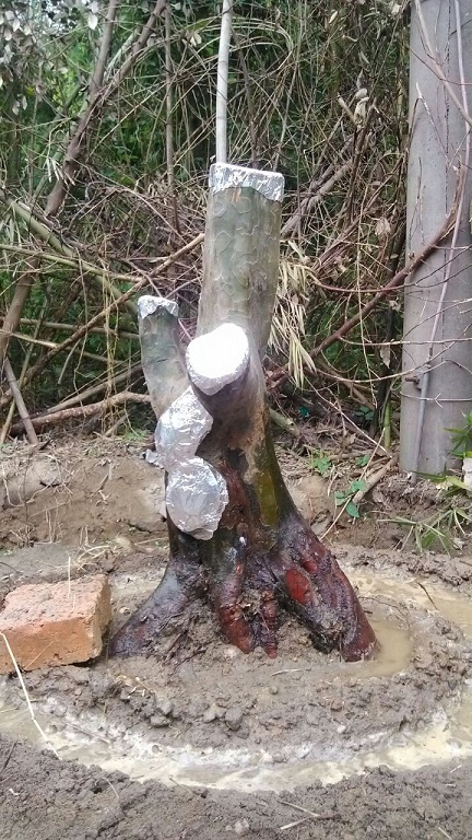 QQͼƬ20131031230152.jpg