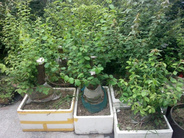 QQͼƬ20131101004343.jpg