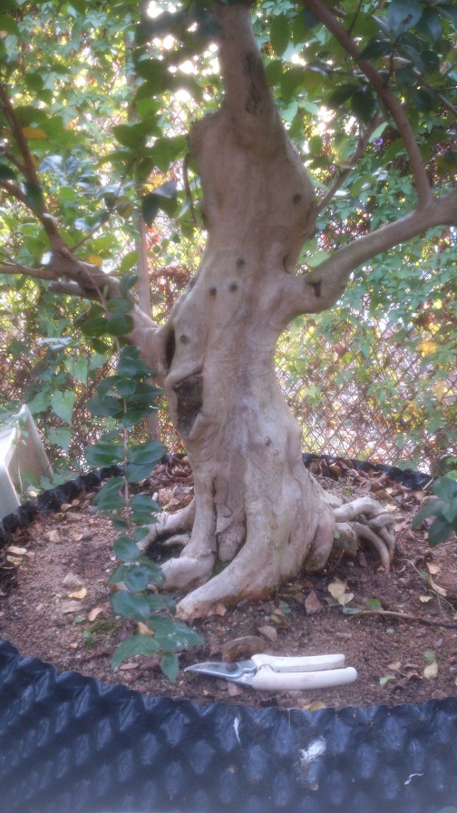 6еĴ׮