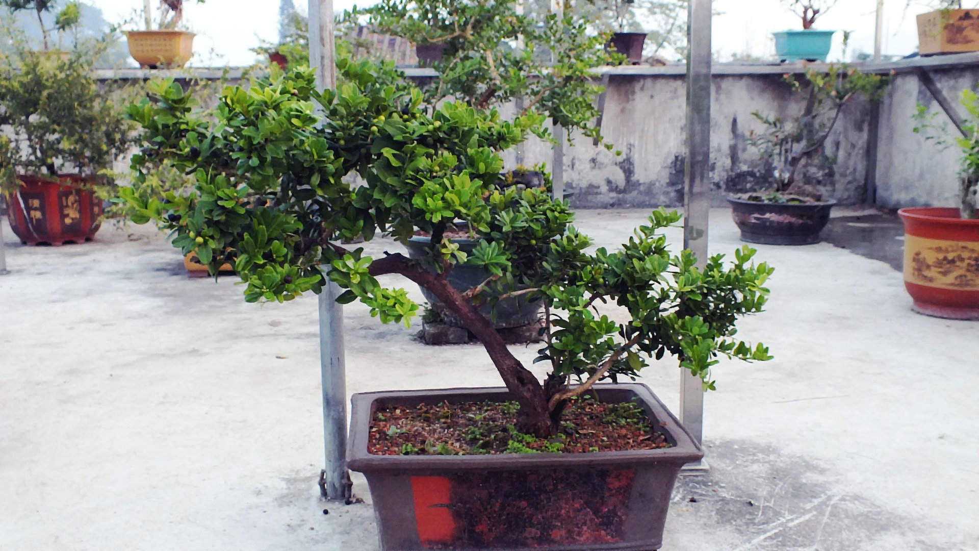 Ƭ 010.jpg