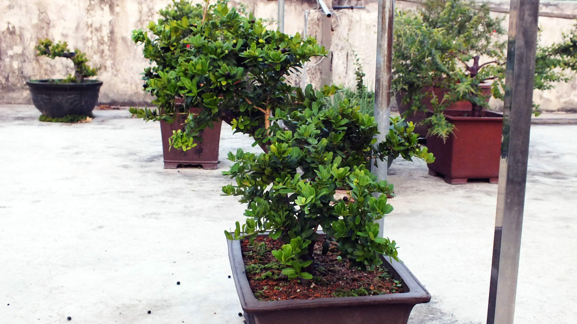 Ƭ 012.jpg