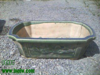 IMG0211A.jpg