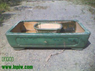 IMG0206A.jpg
